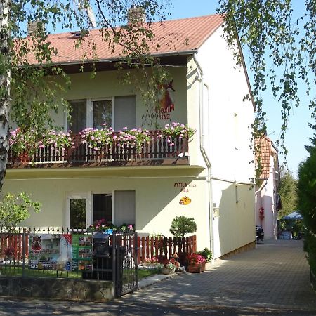 Maxim Ház Heviz Exterior foto